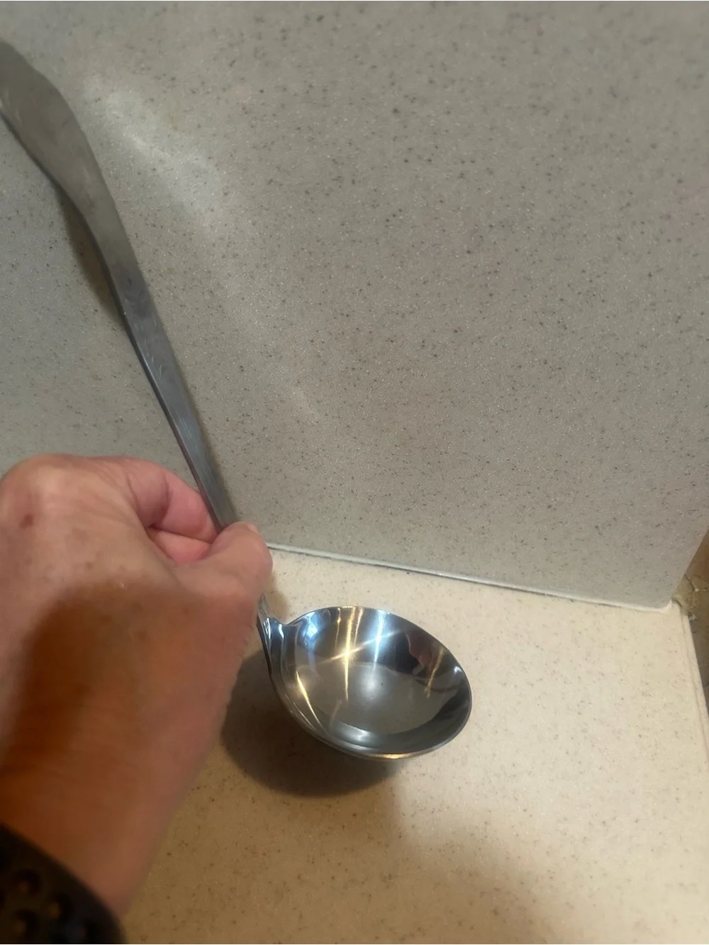 Ornate Stainless Steel Serving Ladle - Silver